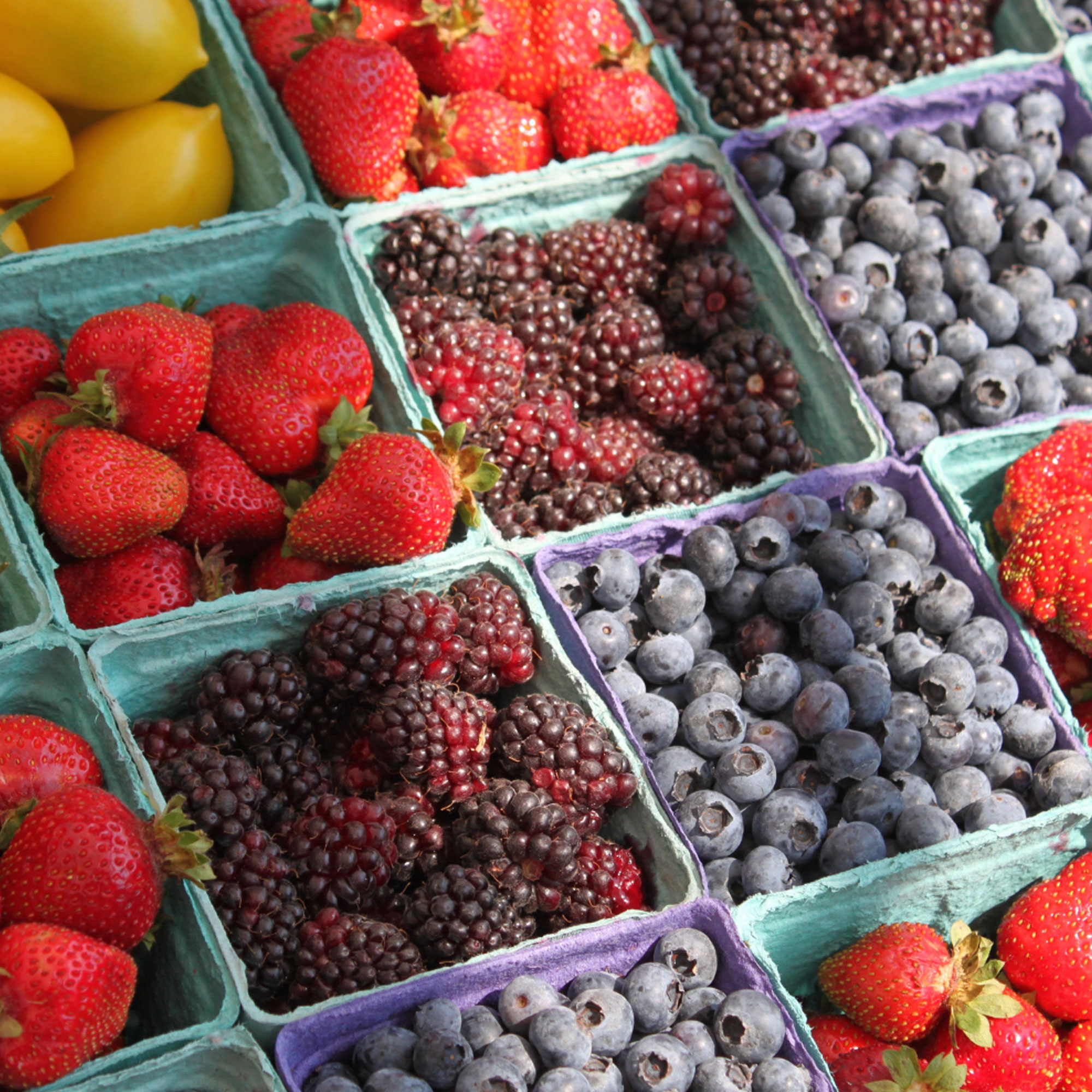 Exploring Canadian Farmers’ Markets