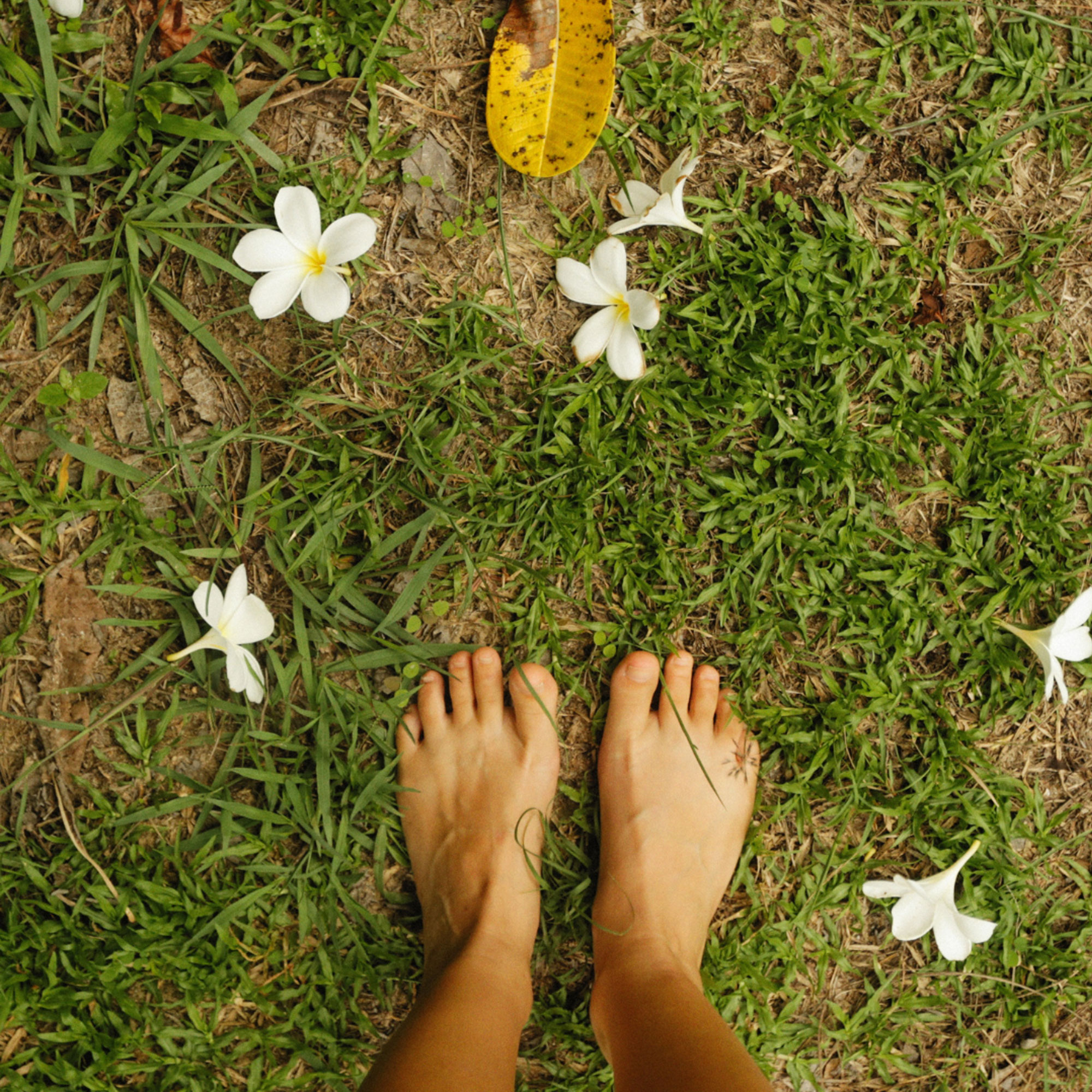 Grounding: Healing Powers of Gardening