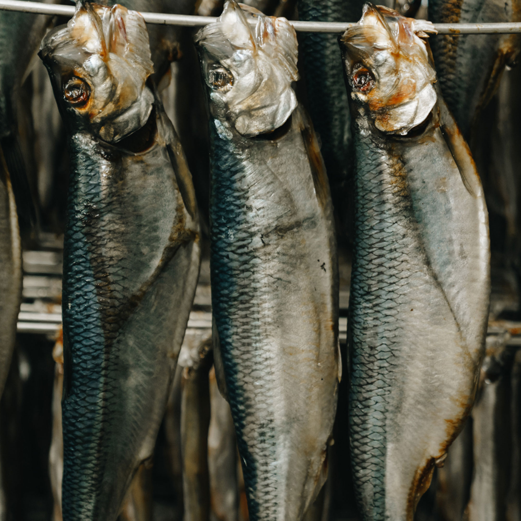 From Farm to Table: The Journey of Dried Produce