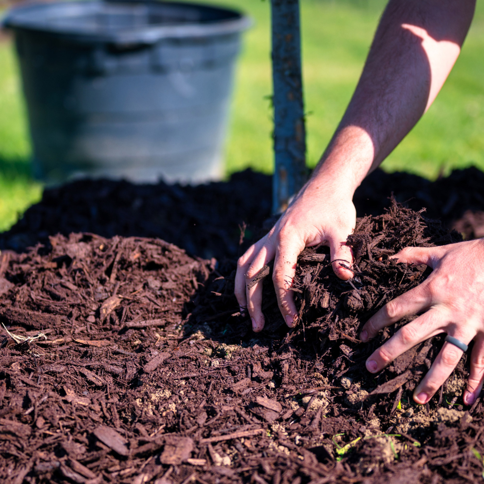 Heat & Environmental Protection in Your Garden
