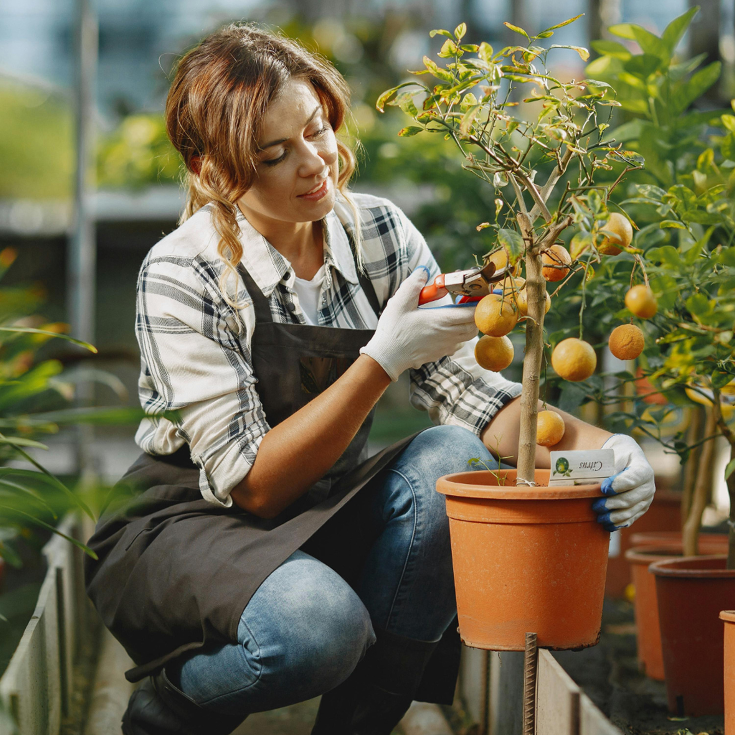 Weeding & Pruning Tips